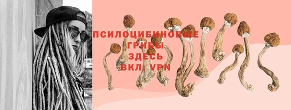 мяу мяу мука Алзамай