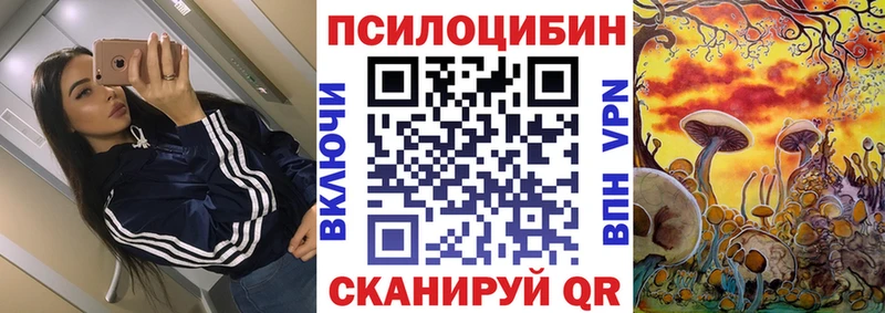 MEGA рабочий сайт  Кириши  сайты даркнета какой сайт  Галлюциногенные грибы MAGIC MUSHROOMS 