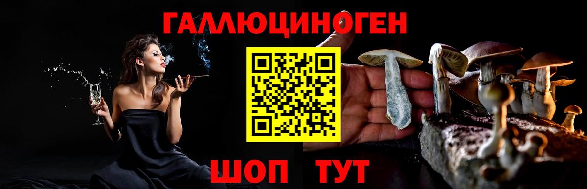 Кириши  Псилоцибиновые грибы ЛСД  Псилоцибиновые грибы Psilocybine cubensis  Вход с VPN 