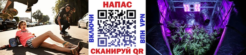 Бошки марихуана план  Кириши 